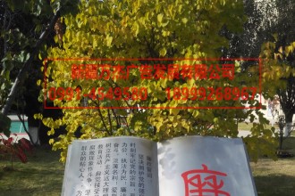 景观造型 文化