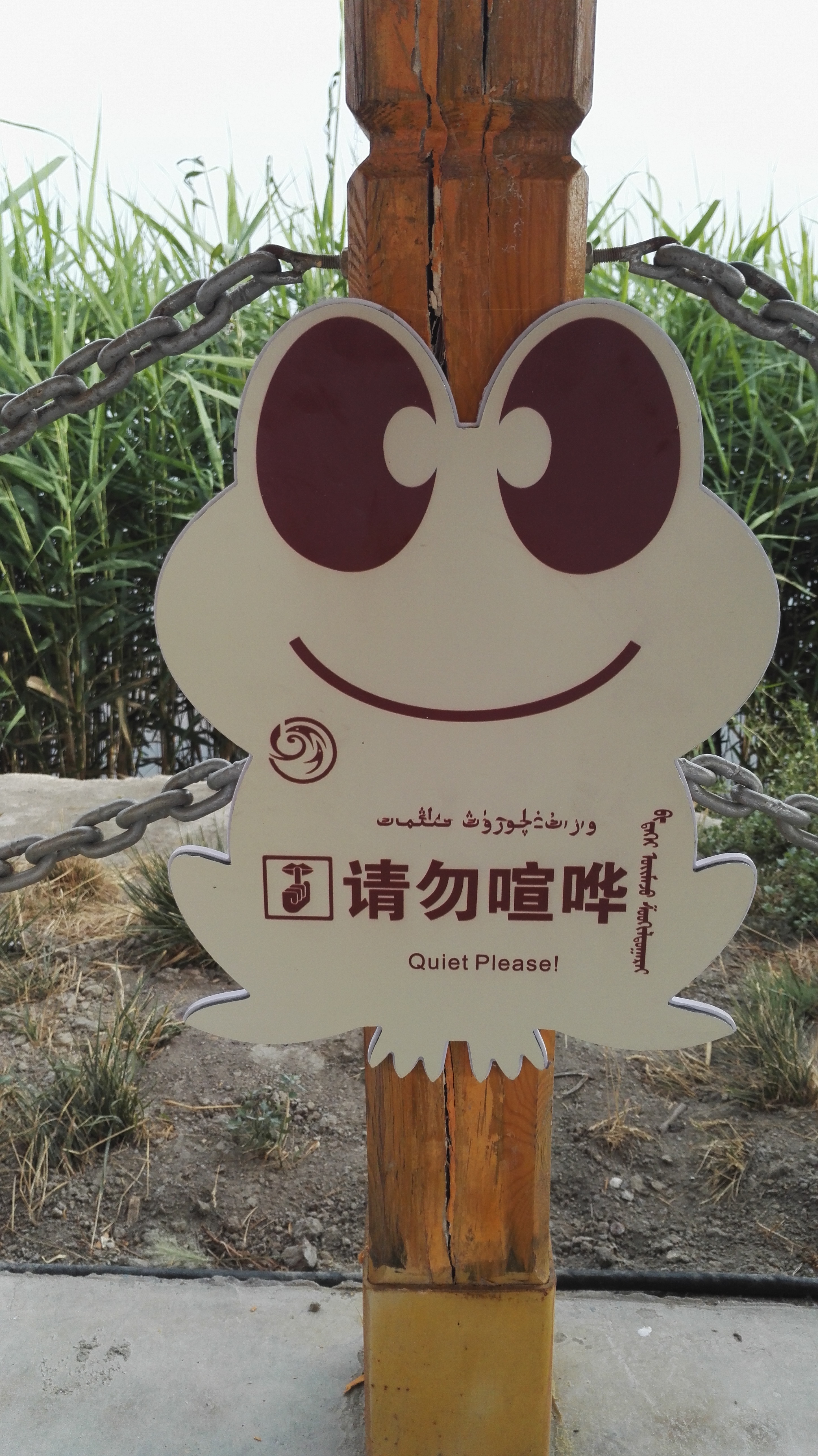 产品展示