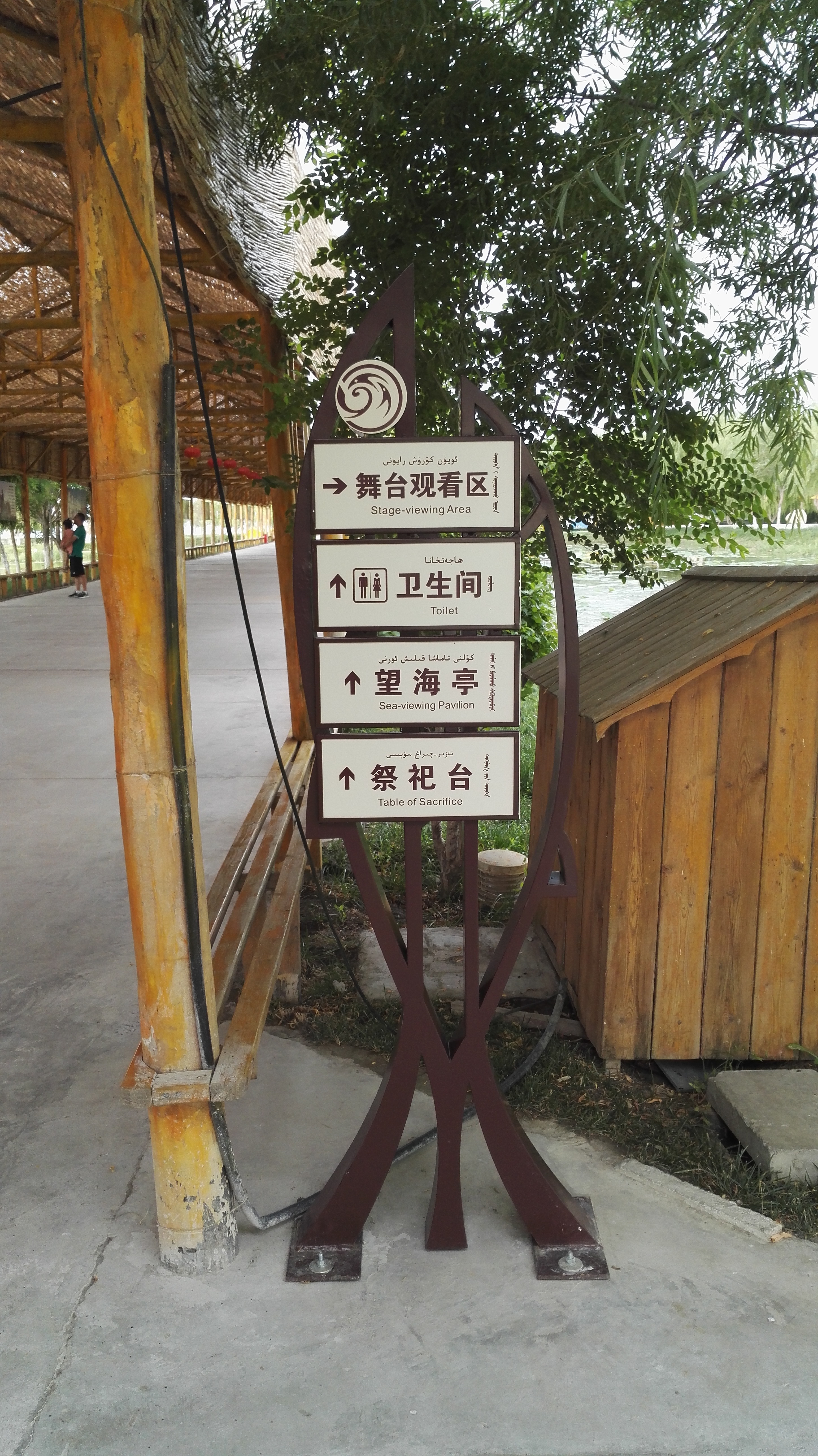 IMG_20170630_194507.jpg